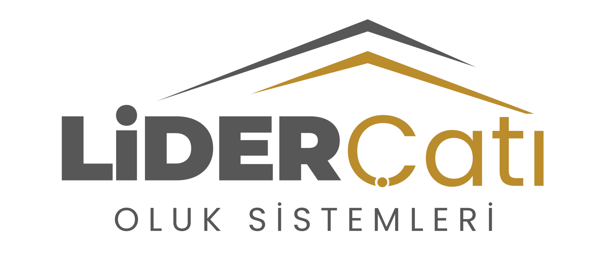 Lider Çatı Oluk Logo